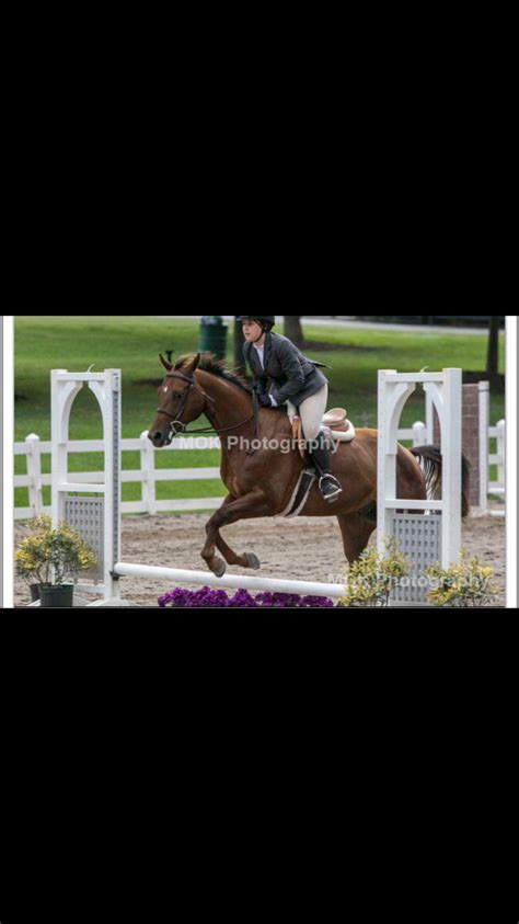 berry patch equestrian|CONTACT .